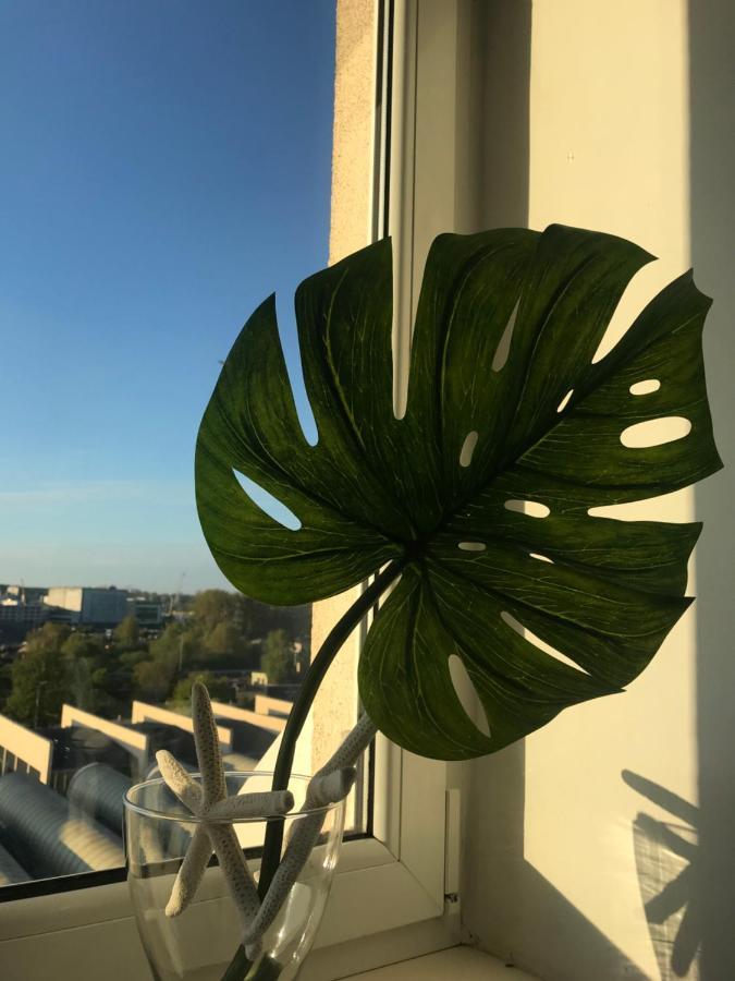 Good Morning Gdynia 아파트 외부 사진